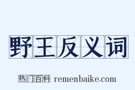 野王反义词是什么意思的图片